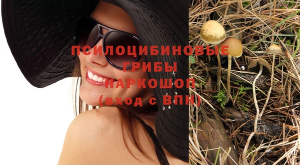 спайс Алексеевка