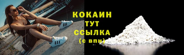 ПСИЛОЦИБИНОВЫЕ ГРИБЫ Абаза