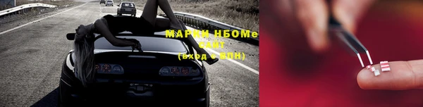индика Алзамай