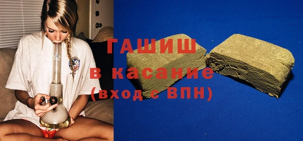 индика Алзамай