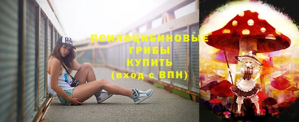 индика Алзамай