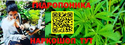 индика Владивосток