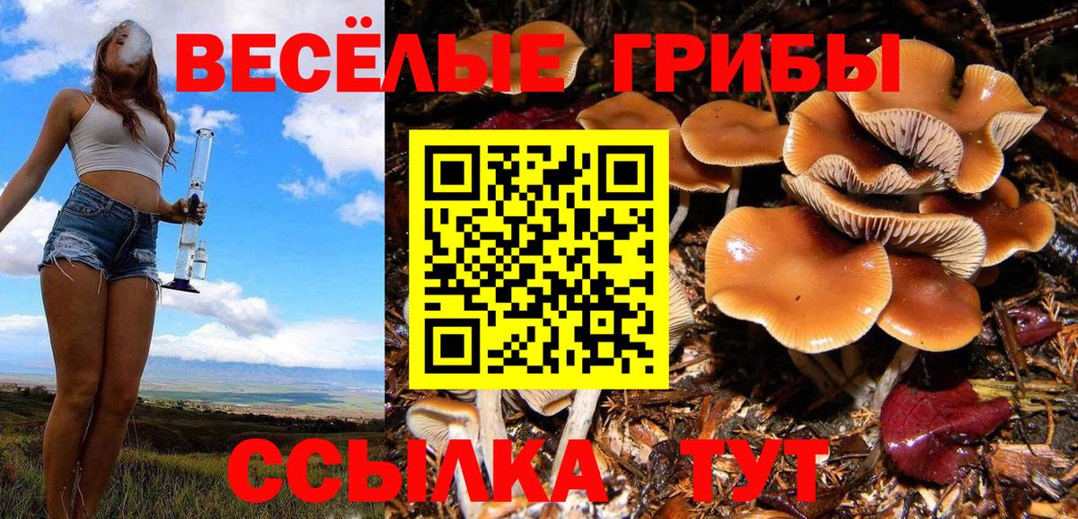 Галлюциногенные грибы MAGIC MUSHROOMS Воткинск