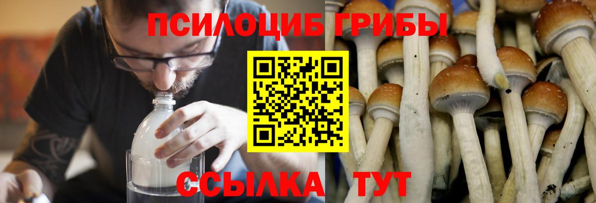 Галлюциногенные грибы мухоморы  Вход с VPN  Воткинск 